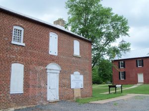 Bristow pest control