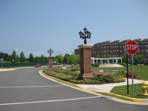 Gainesville pest control